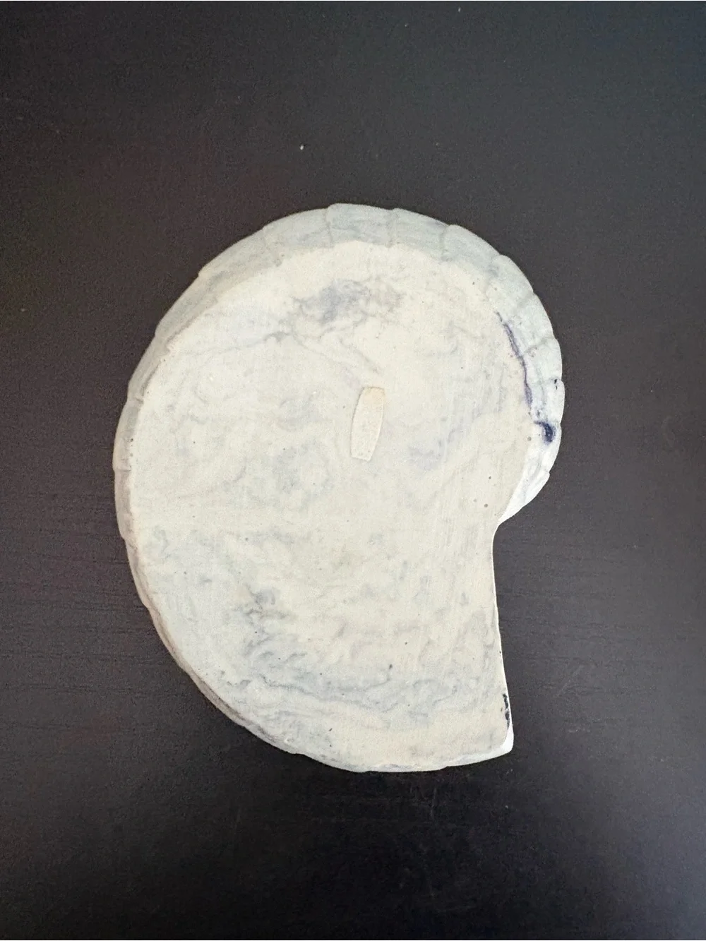 Shell shaped soap dish